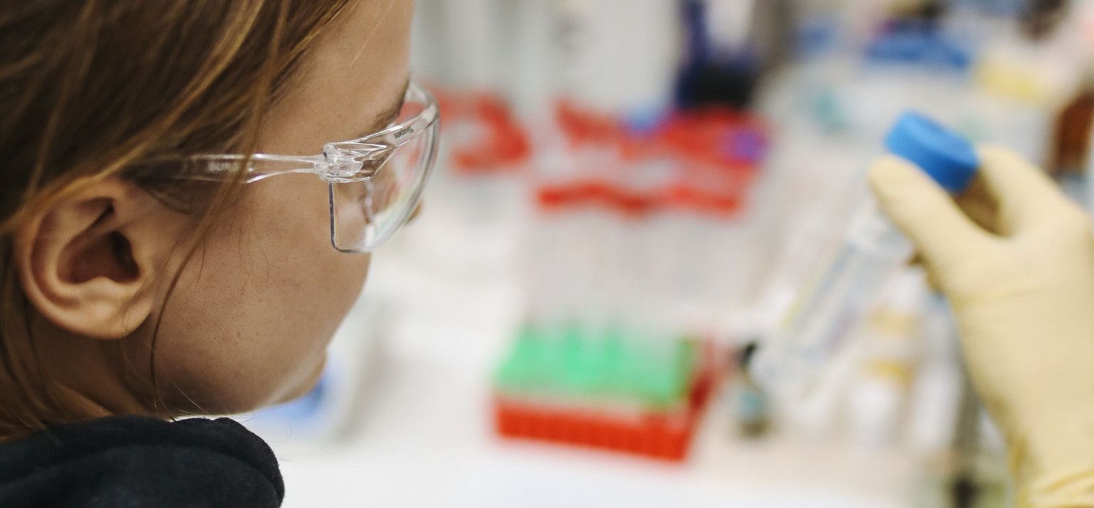 Rubber Properties Rubber Properties
