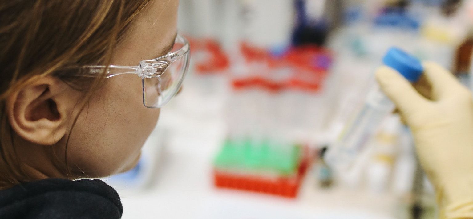 Rubber Properties Rubber Properties